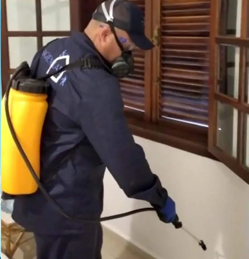 Desinsetização em Bertioga com técnicas modernas