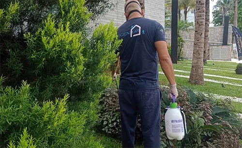 Desinsetização em Bertioga - Higienilar